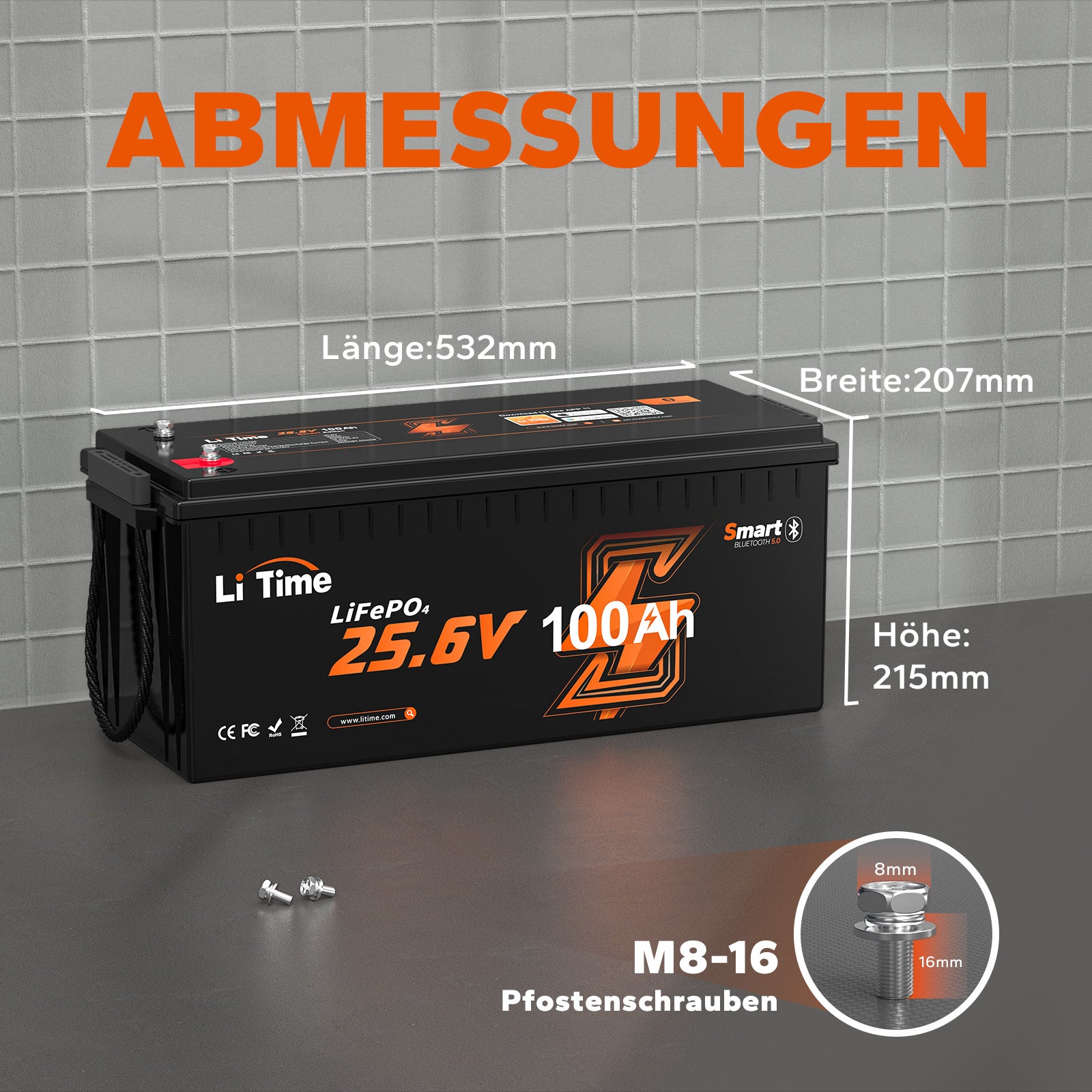 LiTime 24V 100Ah mit Bluetooth Abmessungen