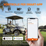 LiTime 48V 30Ah LiFePO4 Batterie mit Bluetooth