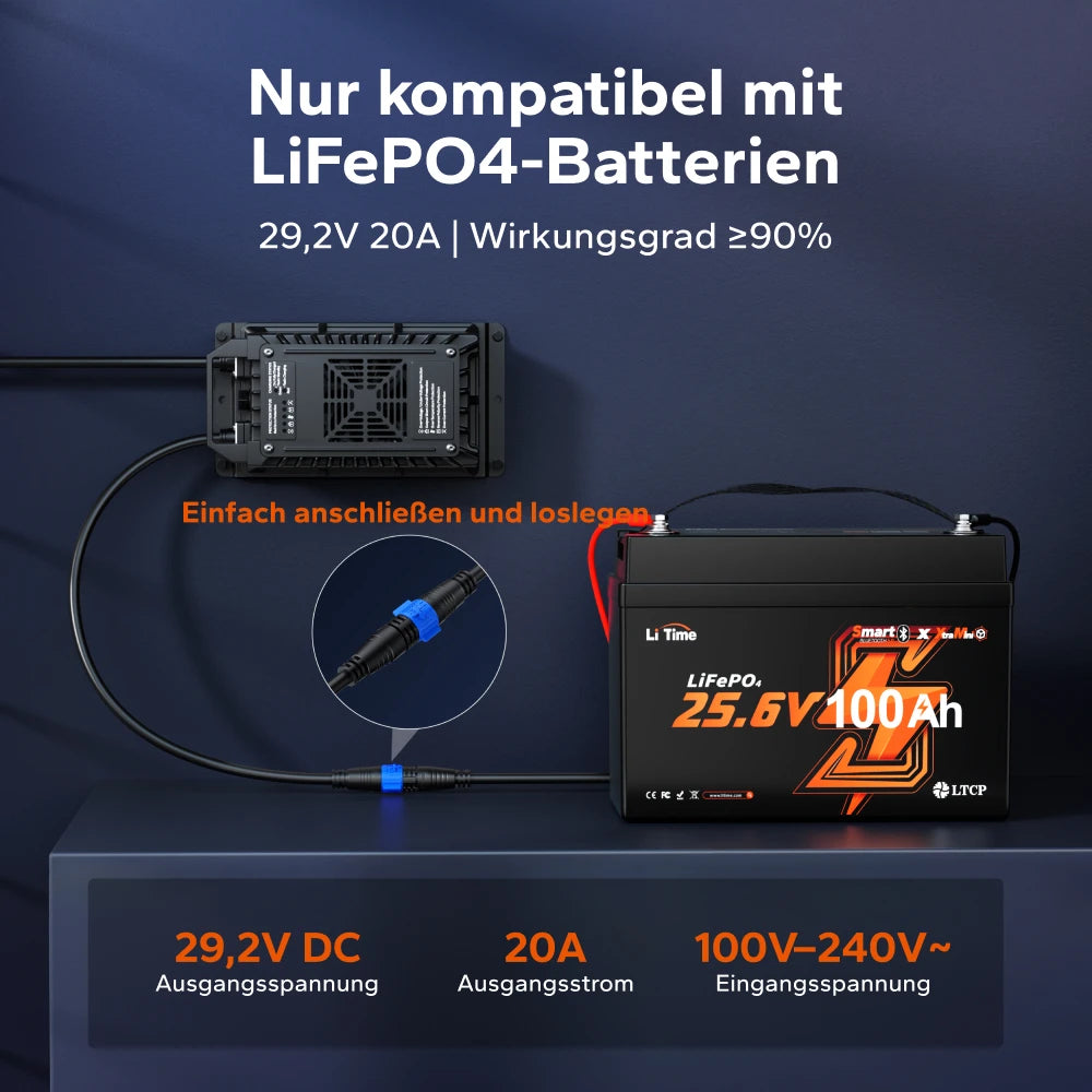 LiTime 24V (29,2 V) 20 A wasserdichtes Lithium-Batterieladegerät zur Festmontage