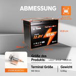 Litime 12V 65ah Group 22NF Deep Cycle Lithium Battery Wheelchair Heavyweight og Senior Mobile, Electromobile