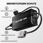 LiTime Ladegerät mit Mehrstufigem Schutz und Anschlüssen