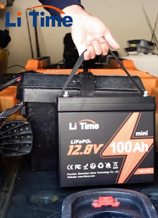 Moment … mein Fisch fliegt?!