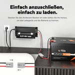 LiTime 12V (14.6V) 40A montierbares Lithium-Akku-Batterieladegerät mit Handgriff
