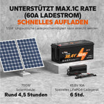 ⚡Räumungsverkauf⚡LiTime 36V 60Ah Golf Cart Deep Cycle Lithium Batterie für Golf Cart und Rasenmäher
