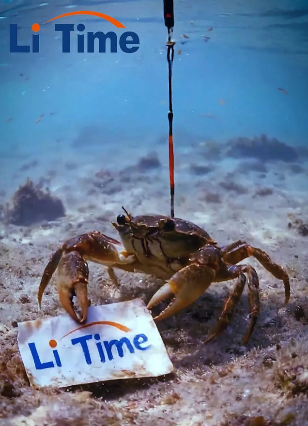 Ein unerwarteter Fang. 🎣