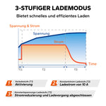 LiTime LiFePO4 Ladegerät 12V 10A 3-Stufen-Lademodus