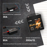 LiTime 48V 30Ah LiFePO4 Batterie mit Lädegerät