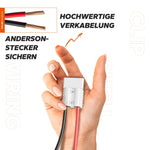 LiTime 12V (14.6V) 40A montierbares Lithium-Akku-Batterieladegerät mit Handgriff