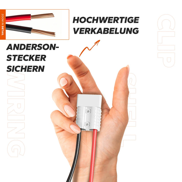 LiTime 12V (14.6V) 40A montierbares Lithium-Akku-Batterieladegerät mit Handgriff