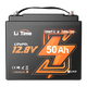 LiFePO4 12V 50Ah Bluetooth холодний захист глибокого циклу літієва батарея для електричного двигуна човна