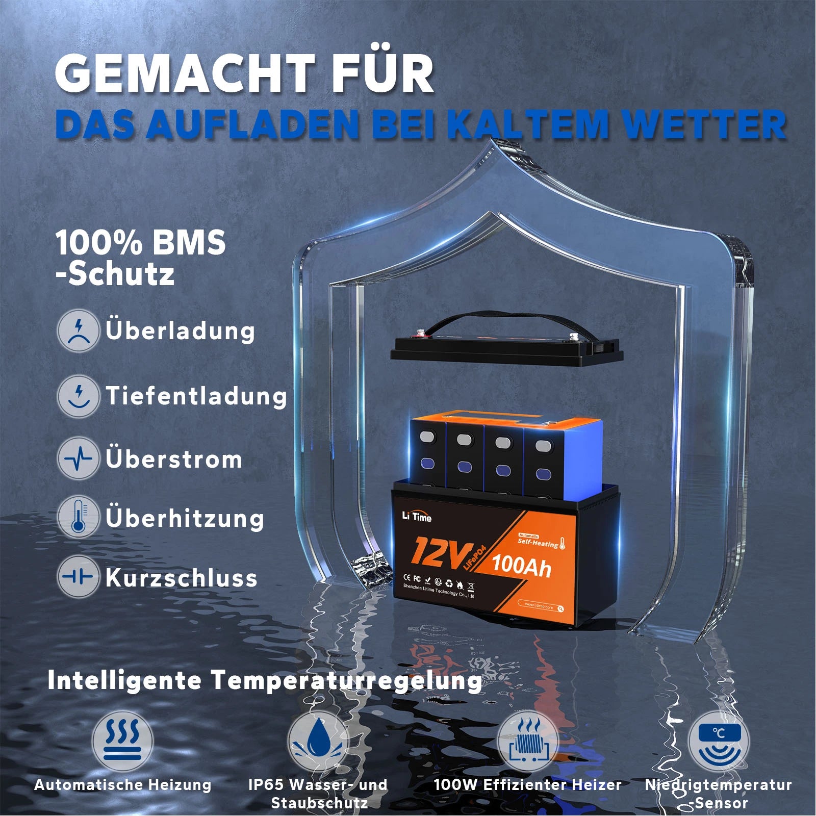  LiFePO4 Batterie mit Selbstheizungs-Upgrade und Smart BMS-Tieftemperaturschutz Media 3 of 11