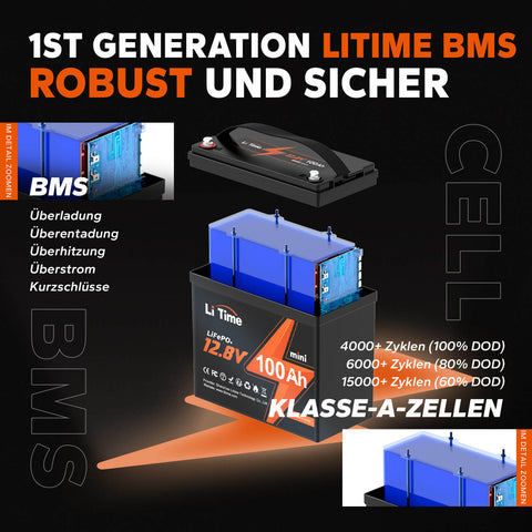 【0% IVA】Batteria al litio LiTime 12V 100Ah MINI LiFePO4 (SOLO per edifici residenziali e SOLO in DEU - Solo per i clienti in Germania)