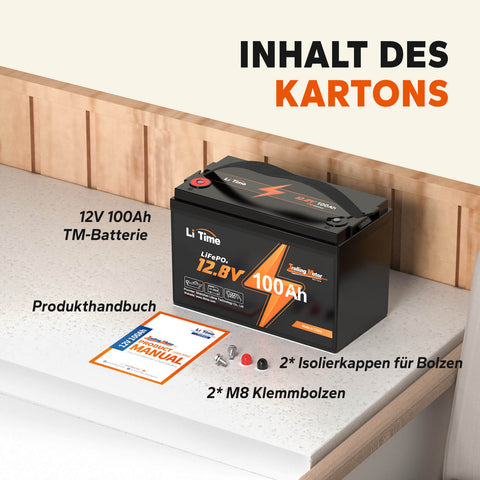 [0% MwSt.] LiTime 12V 100Ah TM LiFePO4 Batterie, Tieftemperaturschutz für Elektromotoren