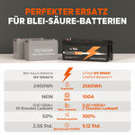 [Brugt som ny] litime 12v 200AH LifePo4 Lithium Battery