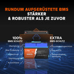[Brugt som ny] Litite LifePO4 12V 230AH TM plus lav-TEMP-beskyttelse Deep Cycle Battery-200a BMS