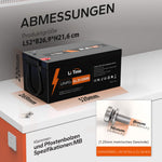 LiTime 51.2V 100AH ​​duboki ciklus lifepo4 litij baterija