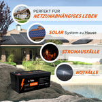 LiTime 51.2V 100AH ​​duboki ciklus lifepo4 litij baterija