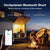 LiTime 500A Smart-Batterieshunt mit Bluetooth