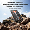 【NOWOŚĆ!】LiTime 12V 100Ah Ultra Slim Smart LiFePO4 z funkcją samonagrzewania i Bluetooth - do samochodów kempingowych, pickupów i samochodów kempingowych