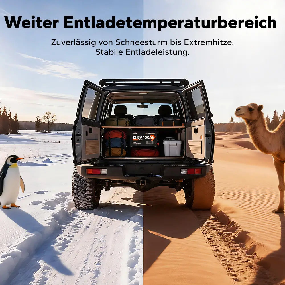 【NEU!】LiTime 12V 100Ah Ultra Slim LiFePO4 mit Bluetooth & Selbsterwärmung – für Wohnmobile, Pickups & Campervans