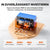 LiTime 12V 165Ah Marine LiFePO4 Batterie mit BMS Schutz und IP67 Wasserschutz
