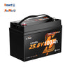 【Nieuw | Pre-order】LiTime 24V 100Ah Xtra Mini LiFePO4-batterij met Bluetooth voor trollingmotoren