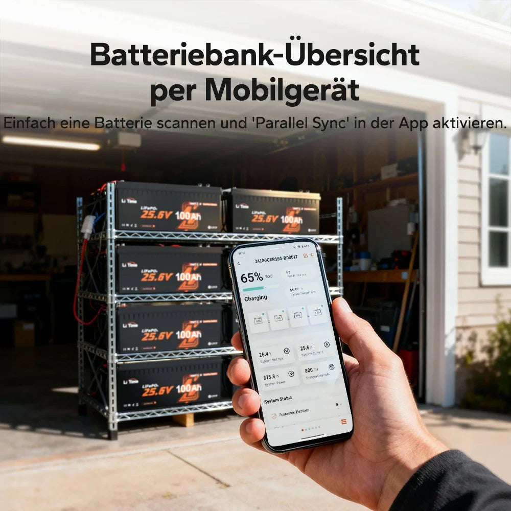LiTime 24V 100Ah Smart ComFlex LiFePO4 – Bluetooth & Victron compatible