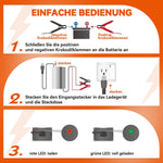 Ampere Time 14,6V 10A, Intelligentes AC-DC Batterieladegerät - Silber Amperetime DE