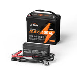 12V 100Ah mini Lithium LiFePO4 Batterie und ein Ladegerät für 12V Batterie