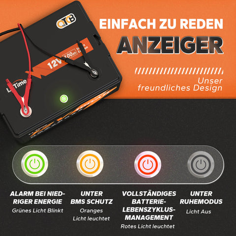 【0% IVA】Batería LiTime 12V 100Ah Smart Lithium LiFePO4 (SOLO para edificios residenciales y SOLO en DEU - Solo para clientes en Alemania)