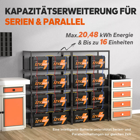【0% IVA】Batería LiTime 12V 100Ah Smart Lithium LiFePO4 (SOLO para edificios residenciales y SOLO en DEU - Solo para clientes en Alemania)